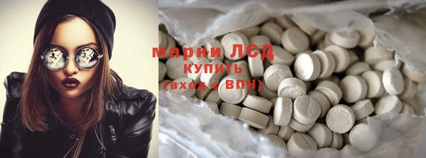 шишки Богородицк