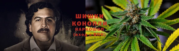 хмурый Богданович