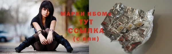 гашик Богородск