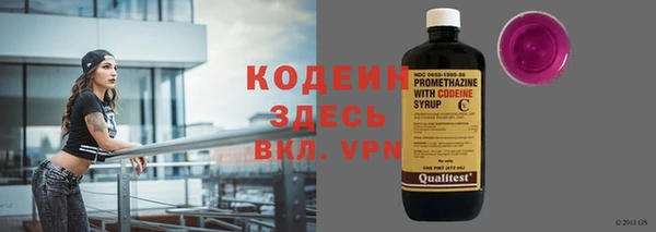 шишки Богородицк