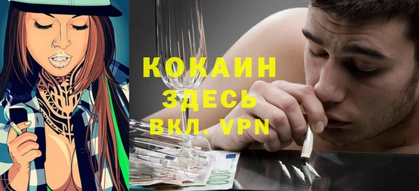 шишки Богородицк