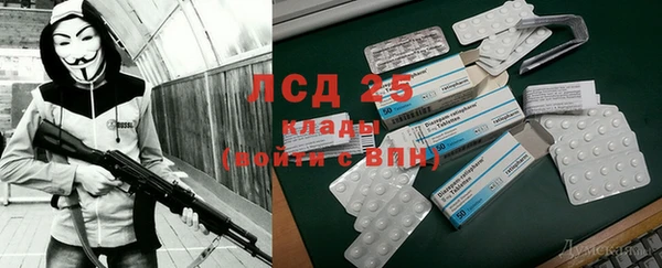 шишки Богородицк