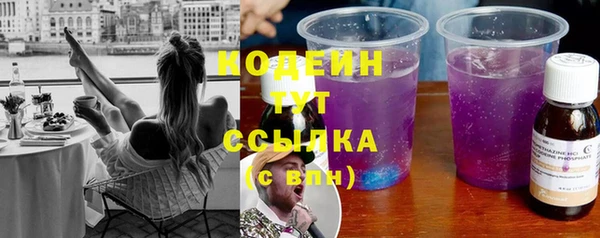 гашик Богородск
