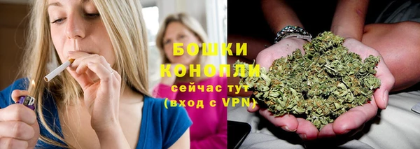 шишки Богородицк