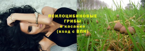 шишки Богородицк