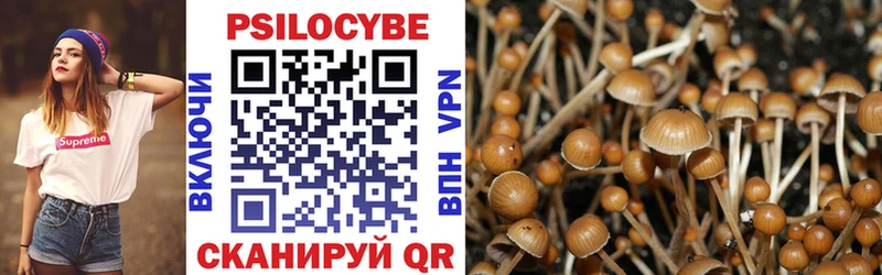 Псилоцибиновые грибы Psilocybine cubensis  Кирс 